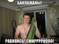 Баклажаны! Равняйсь! Смиррррнооо!