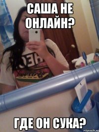 Саша не онлайн? где он сука?