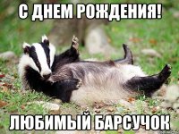 С ДНЕМ РОЖДЕНИЯ! ЛЮБИМЫЙ БАРСУЧОК