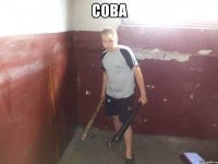 Сова 