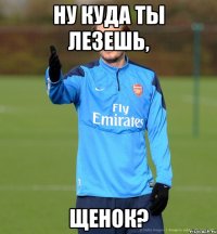 Ну куда ты лезешь, Щенок?