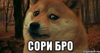  Сори бро