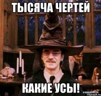 тысяча чертей какие усы!