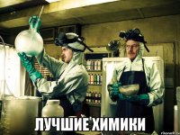  Лучшие химики