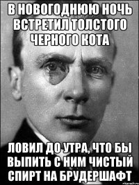 В новогоднюю ночь встретил толстого черного кота Ловил до утра, что бы выпить с ним чистый спирт на брудершафт