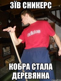 зїв сникерс кобра стала деревянна