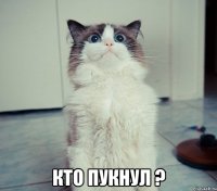  кто пукнул ?