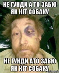 Не гунди а то забю як кiт собаку Не гунди ато забю як кiт собаку