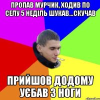 пропав мурчик, ходив по селу 5 неділь шукав...скучав прийшов додому уєбав з ноги