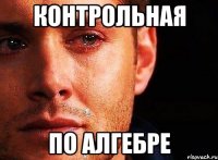 КОНТРОЛЬНАЯ ПО АЛГЕБРЕ