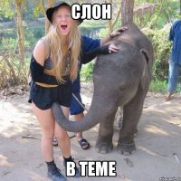 слон в теме