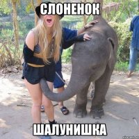 Слоненок Шалунишка