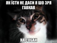Як їсти не даси я шо зря гавкав на собак