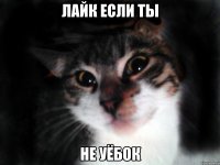 Лайк если ты не уёбок