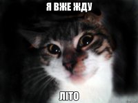 Я вже жду Літо