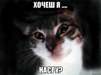 Хочеш я .... Насру?