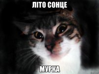 Літо Сонце Мурка