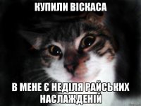 Купили Віскаса В мене є неділя райських наслажденій
