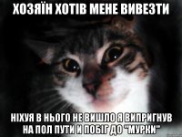 Хозяїн хотів мене вивезти ніхуя в нього не вишло я випригнув на пол пути и побіг до "мурки"