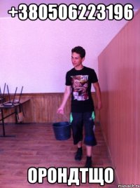 +380506223196 орондтщо