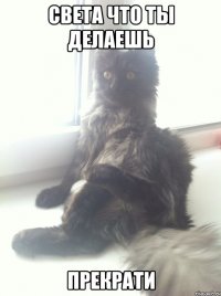 Света что ты делаешь Прекрати
