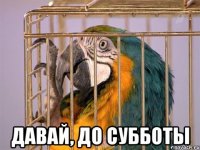  давай, до субботы