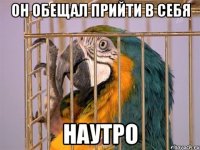 он обещал прийти в себя наутро