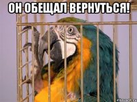 он обещал вернуться! 