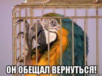  он обещал вернуться!