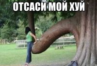 отсаси мой хуй 