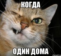 Когда Один дома