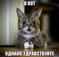 я кот Однако здравствуйте