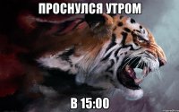 проснулся утром в 15:00