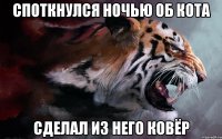 споткнулся ночью об кота сделал из него ковёр