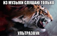 из музыки слушаю только ультразвук