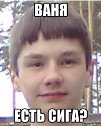 Ваня Есть сига?