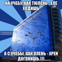 На учебу, как тюлень - еле ходишь А с учебы, как олень - хрен догонишь.)))