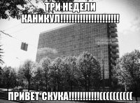 ТРИ НЕДЕЛИ КАНИКУЛ!!!!!!!!!!!!!!!!!!!!! ПРИВЕТ СКУКА!!!!!!!!!!!((((((((((