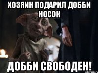Хозяин подарил Добби носок Добби свободен!