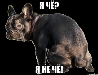 Я чё? Я не чё!