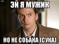 Эй я мужик Но не собака (сука)
