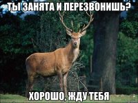 ты занята и перезвонишь? хорошо, жду тебя