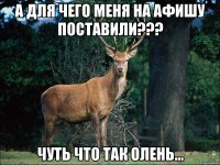 А для чего меня на афишу поставили??? чуть что так олень...