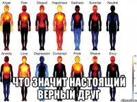  что значит настоящий верный друг