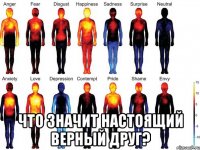  что значит настоящий верный друг?
