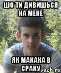 Шо ти дивишься на мене як макака в сраку