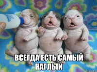  всегда есть самый наглый