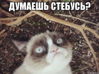 думаешь стебусь? 