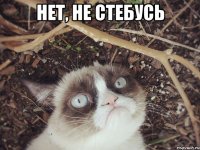 нет, не стебусь 