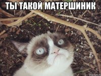 ты такой матершиник 